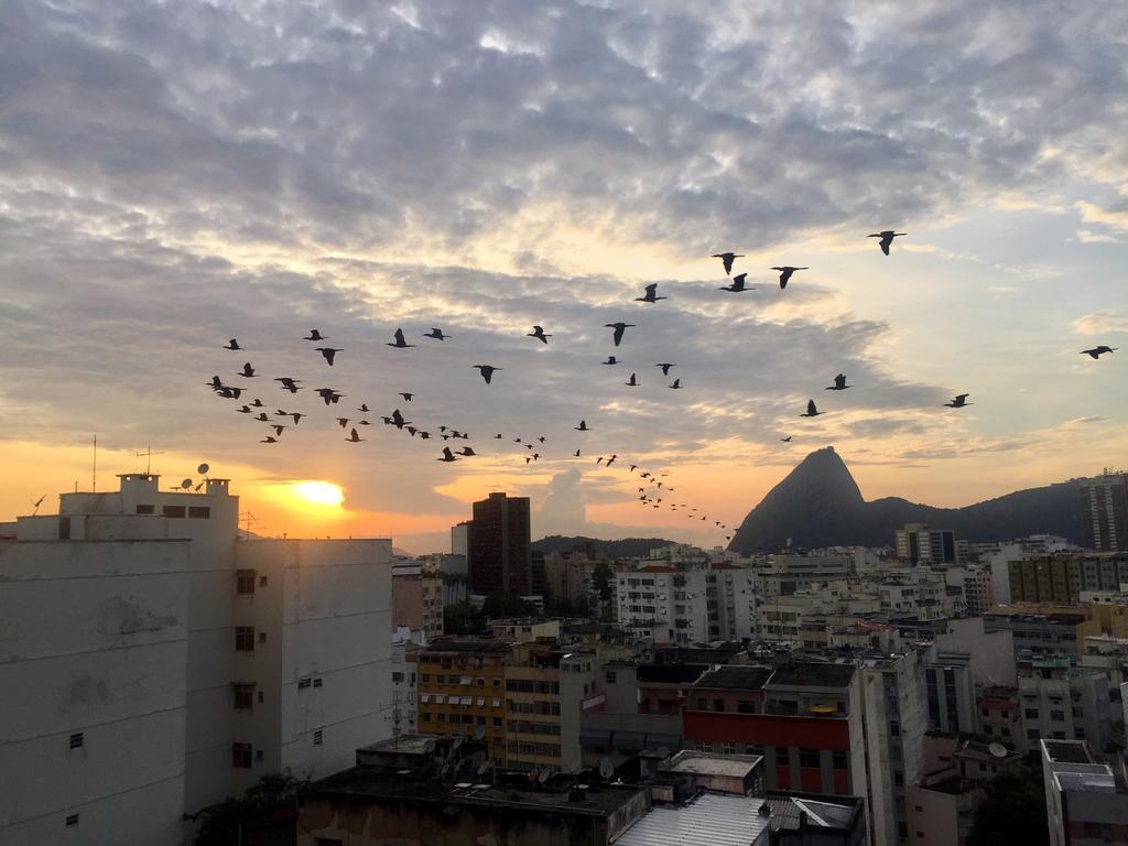 Catete Apartamento